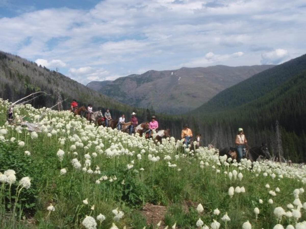 Riders in a Field of Beargrass